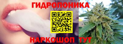 шишки Краснокаменск