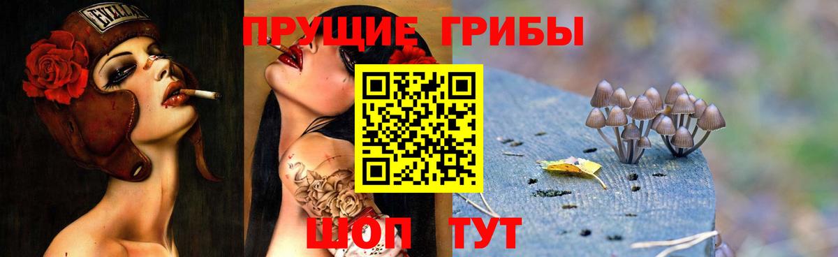 Каменск-Уральский  Псилоцибиновые грибы Cubensis  Вход с VPN  Псилоцибиновые грибы мицелий 